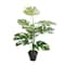 26" Premade Potted Monstera Plant by Ashland®